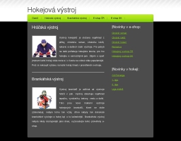 Hokejová výstroj