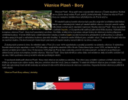 Věznice Plzeň - Bory
