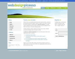 Web Design Picasso