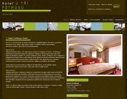 Hotel U Tří Pštrosů ubytování Praha 1