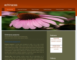 Echinacea.sk - Echinacea purpurea