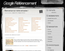 Google Référencement