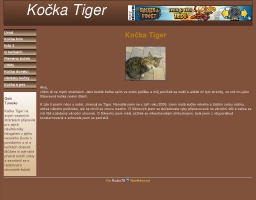 Kočka Tiger