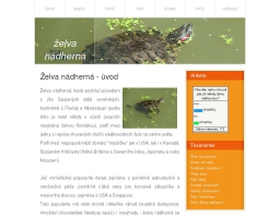 Želva nádherná