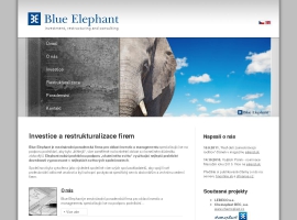 Blue Elephant Company - Investice do firem