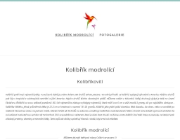 Kolibřík modrolící