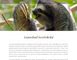 Lenochod hnědokrký