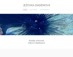 Ježovka diadémová