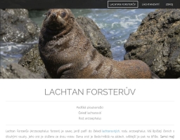 Lachatan forsterův