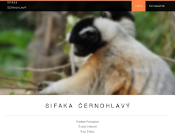 Sifaka černohlavý