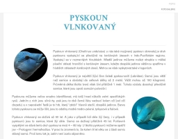 Pyskoun obrovský