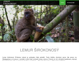 Lemur širokonosý