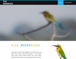 Vlha modroocasá