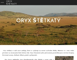 Antilopa – Oryx štětkatý