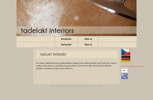 Tadelakt interiors